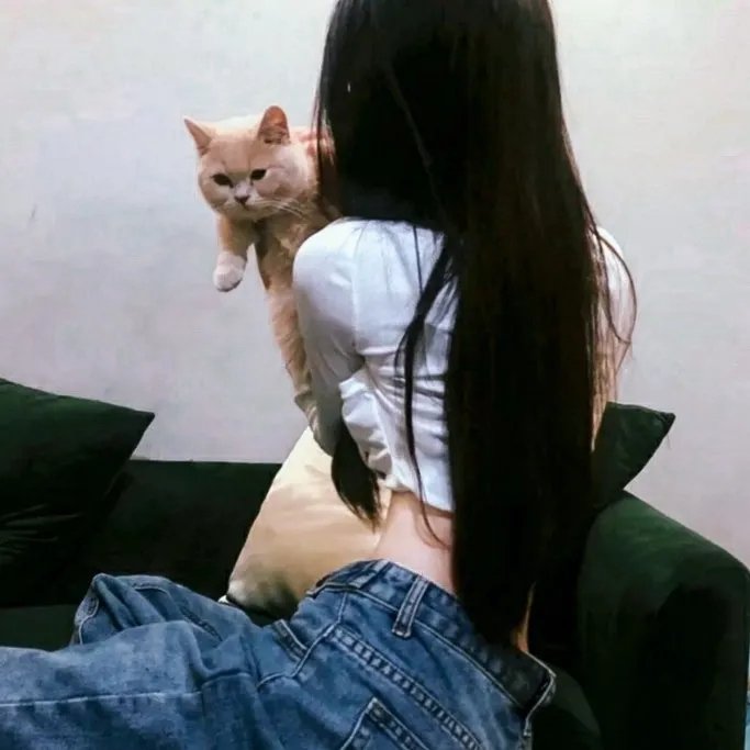 魔法科高校的劣等生第三季